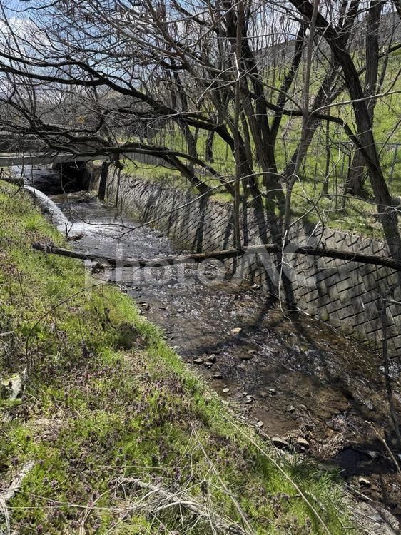 長野県塩尻市　小田川 小田川,川,riverの写真素材