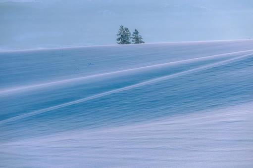 冬の丘が光と影で描く、造形的な雪景色 木,風紋,雪原の写真素材