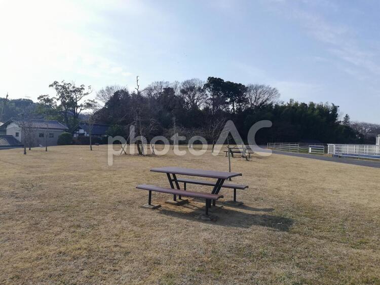 ベンチのある風景(取手市) ベンチ,木,風景の写真素材
