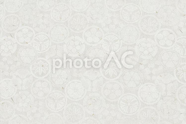和紙の伝統和柄　背景テクスチャ　ベージュ 和紙,紙,和柄の写真素材
