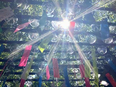 太陽の日差しが差し込む風鈴 太陽の日差しが差し込む風鈴 風鈴,かえる寺,如意輪寺の写真素材