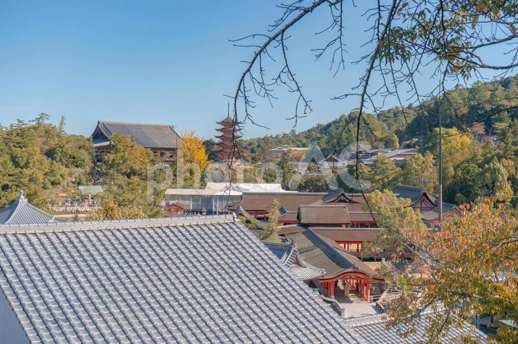 多宝塔から見た五重塔 厳島神社多宝塔,多宝塔,厳島神社の写真素材