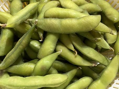 枝豆 枝豆 豆,クッキング,体に良いの写真素材