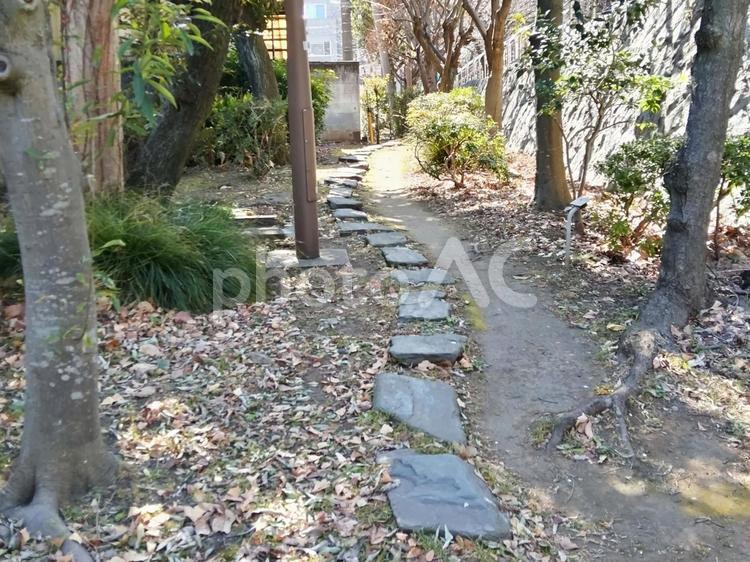 懐かしい石畳の小径 散歩,さんぽ,散策の写真素材