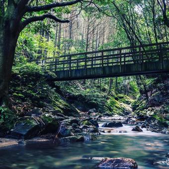 青山高原の川 青山高原の川の写真