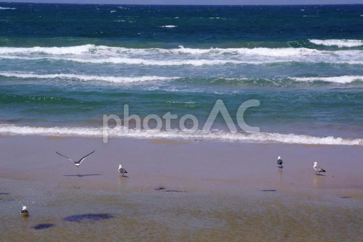 一休みしようぜ 海,波打ち際,青の写真素材
