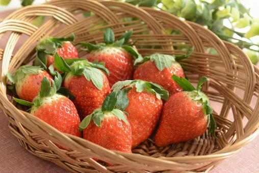 いちご いちご,美容,フルーツの写真素材