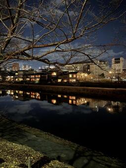 冬の京都　夜の鴨川② 京都,鴨川,夜景の写真素材