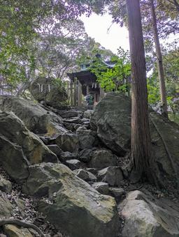 茨城 大甕神社本殿 茨城 大甕神社本殿 日本,美しい,風景の写真素材