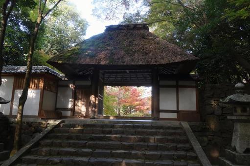 法然院の紅葉 11月,秋,紅葉の写真素材