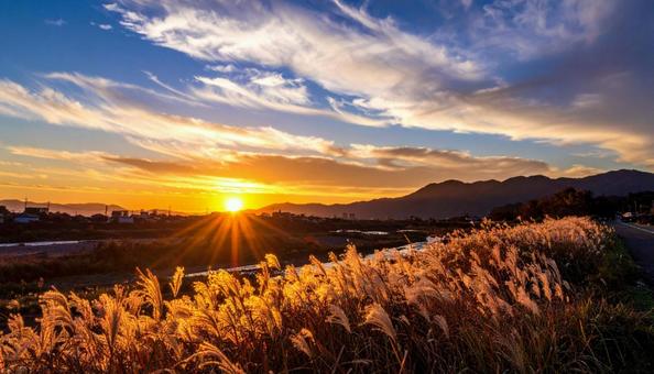 夜明けの山々とススキ 夜明けの山々とススキの写真