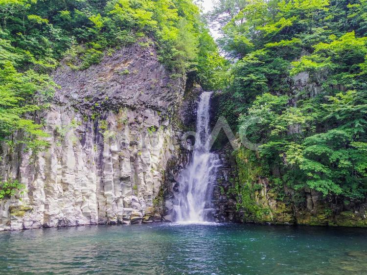 【秋田県】鹿角市・銚子の滝 鹿角市,銚子の滝,滝の写真素材
