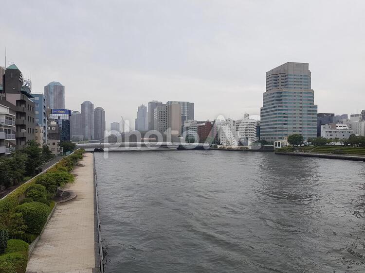 台風の日の隅田川 隅田川,台風,風の写真素材