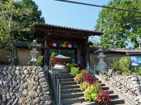 慈尊院 慈尊院,女人高野,寺院の写真素材