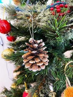松ぼっくり 松ぼっくり,松,クリスマスツリーの写真素材