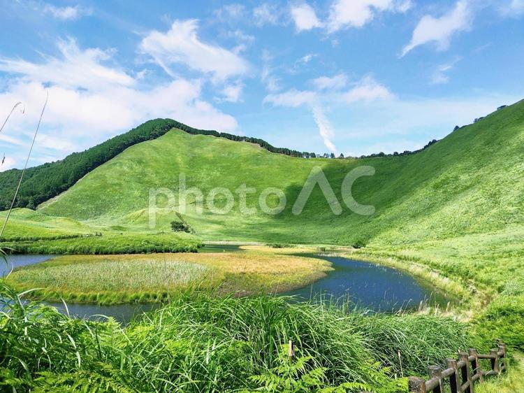 夏の曽爾高原　8 曽爾高原,夏,緑の写真素材