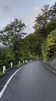 枝折峠の道 枝折峠,道路,山の写真素材