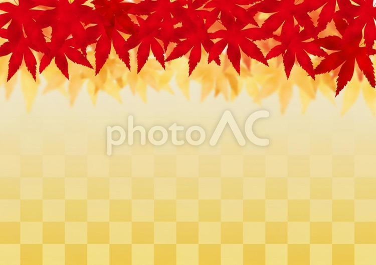 秋の風景 フレーム素材 紅葉と市松模様（背景色：金色）横型 市松,模様,和柄の写真素材