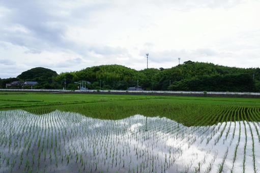 自然の風景 自然の風景の写真