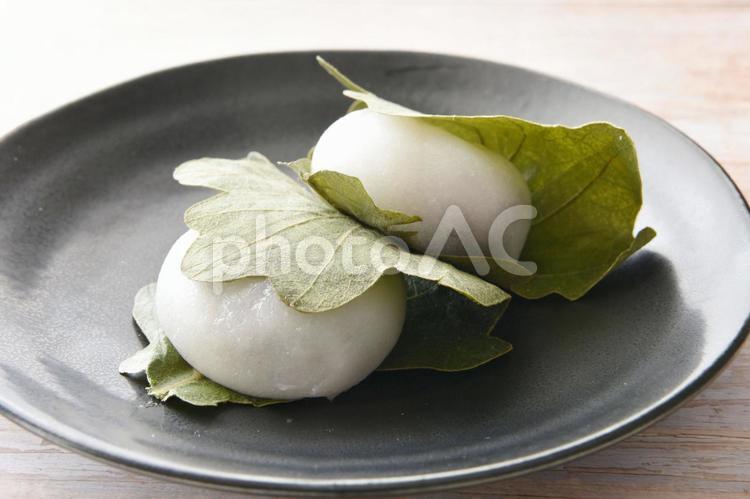 かしわ餅　イメージ 柏餅,かしわ餅,和菓子の写真素材