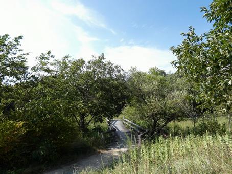 山道 山道の写真