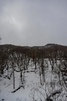The way to Toge Station, JPG