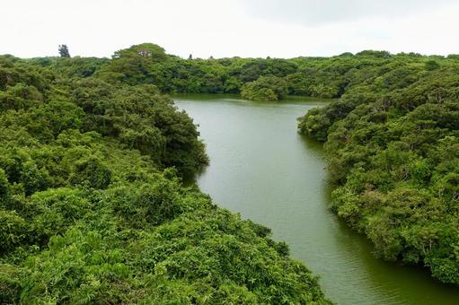 Photo, ishigaki dam, dam lake, dam, 