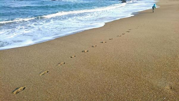 Photo, a wave beach, coastal, beach, 
