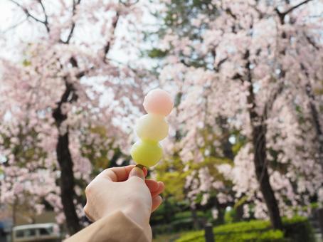 桜とお花見団子 桜とお花見団子の写真