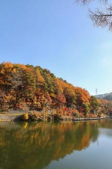 紅葉　長野県　聖湖 紅葉,湖,長野県の写真素材