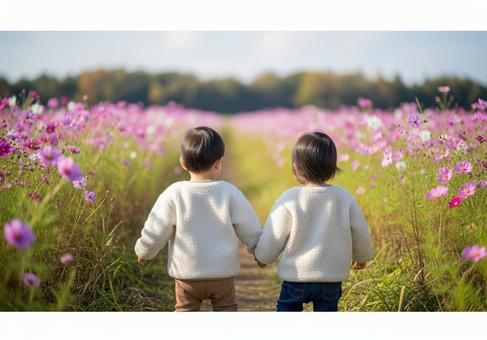 コスモス畑を歩く兄妹の後ろ姿 コスモス畑を歩く兄妹の後ろ姿の写真