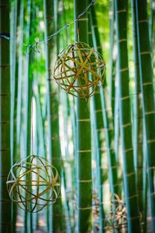 栃木県　竹林 栃木,栃木県,宇都宮市の写真素材