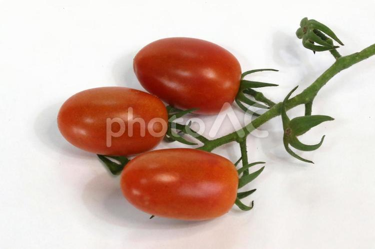 ミニトマト完熟収穫 作物,野菜,食べ物の写真素材