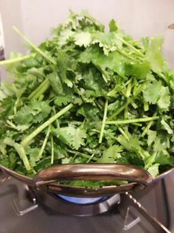 パクチー鍋の写真