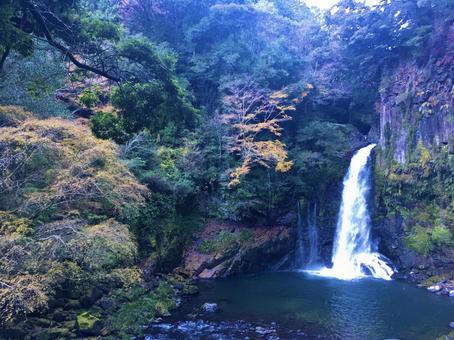 伊豆の滝 伊豆の滝の写真