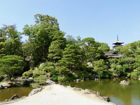 国名勝仁和寺御所庭園北庭2 国名勝仁和寺御所庭園北庭2 仁和寺,仁和寺御所庭園,仁和寺御所の写真素材