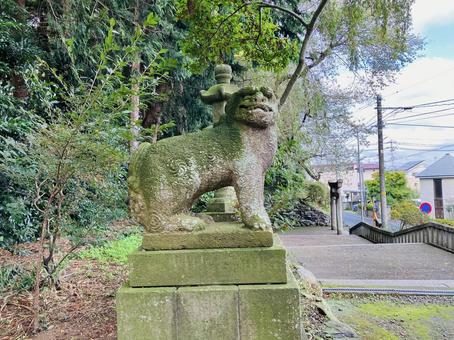 駒形神社　狛犬 駒形神社,岩手県奥州市,陸中国一宮の写真素材