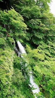 栃木県日光市の涅槃の滝 栃木県日光市の涅槃の滝 涅槃の滝,滝,山の写真素材