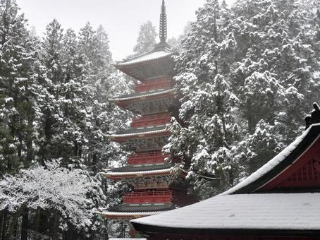 冬の日光東照宮 冬の日光東照宮 日光東照宮,五重塔,雪の写真素材
