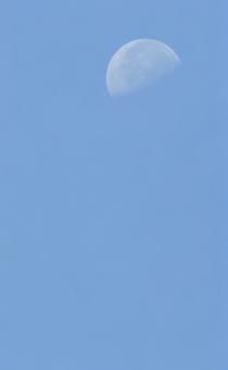 夏空の月4 夏空の月4の写真