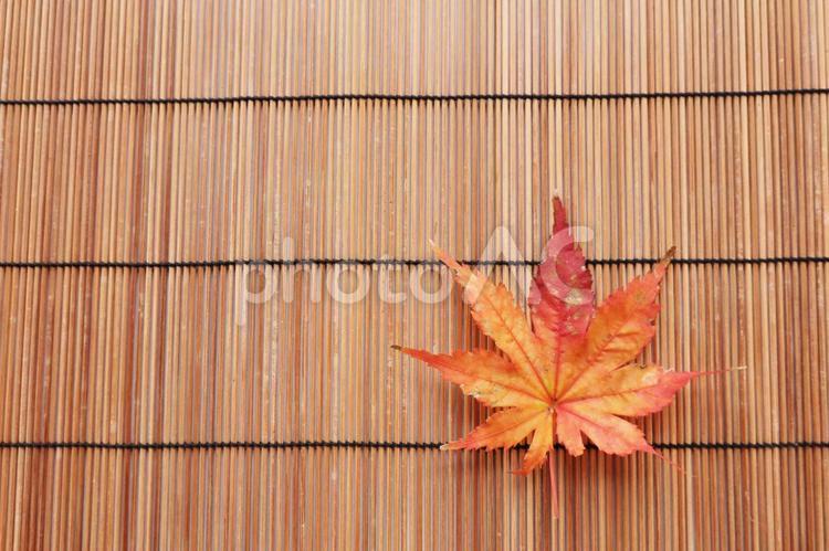 すだれと楓のテキストスペース 楓,紅葉,すだれの写真素材