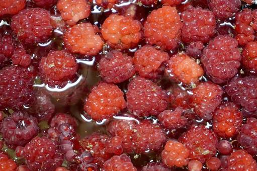 Raspberry washing05, JPG