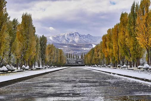 初冬の前田森林公園 初冬,前田森林公園,雪景色の写真素材