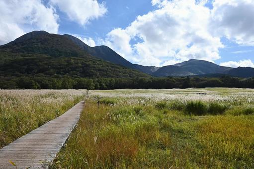 タデ原湿原 タデ原湿原,長者原,久住の写真素材