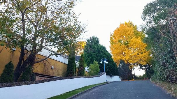 秋の小路 紅葉,秋,小路の写真素材