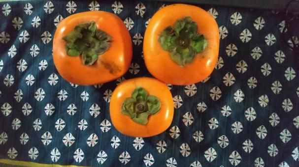 渋柿から渋をアルコールで抜いたおけさ柿 柿,実,秋の写真素材