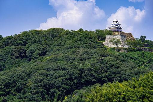 バルーン米子城 バルーン米子城 バルーン米子城,米子城跡,がいな祭の写真素材