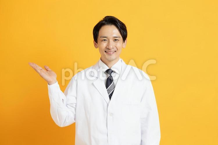 笑顔で案内をする男性の医者 イケメン,ハンサム,プロフィール写真の写真素材