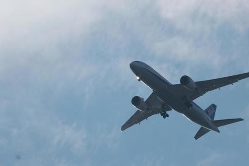飛行機 飛行機の写真
