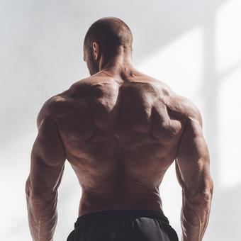 健康的な体、筋肉の曲線美の写真